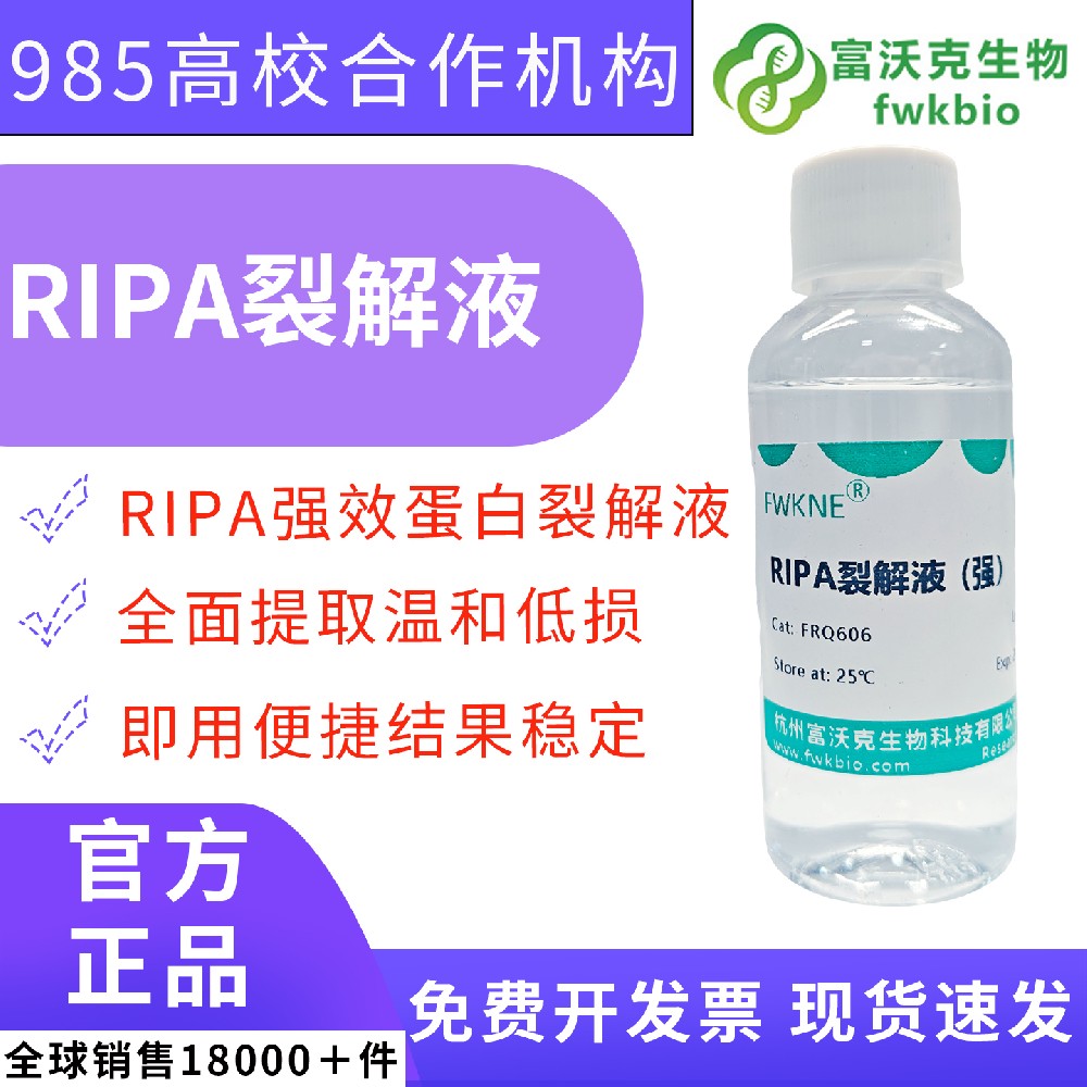 RIPA 高效细胞裂解液（强）附赠 PMSF 溶液 100ml 套装 高校生物工程、农林生物技术专业蛋白样本制备课题实验专用试剂