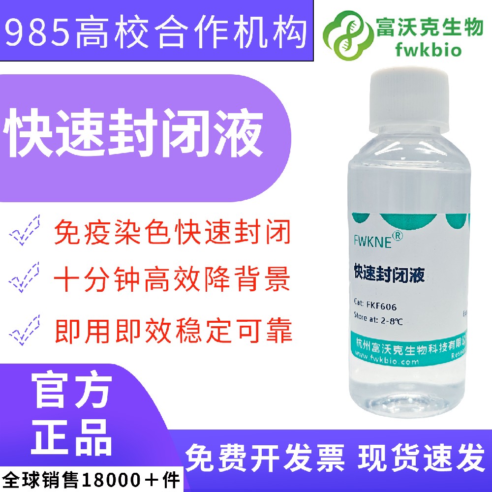 即用型 WB 快速封闭液一抗稀释液套装 生物专业毕业设计、分子克隆蛋白表达验证实验室实训科研试剂