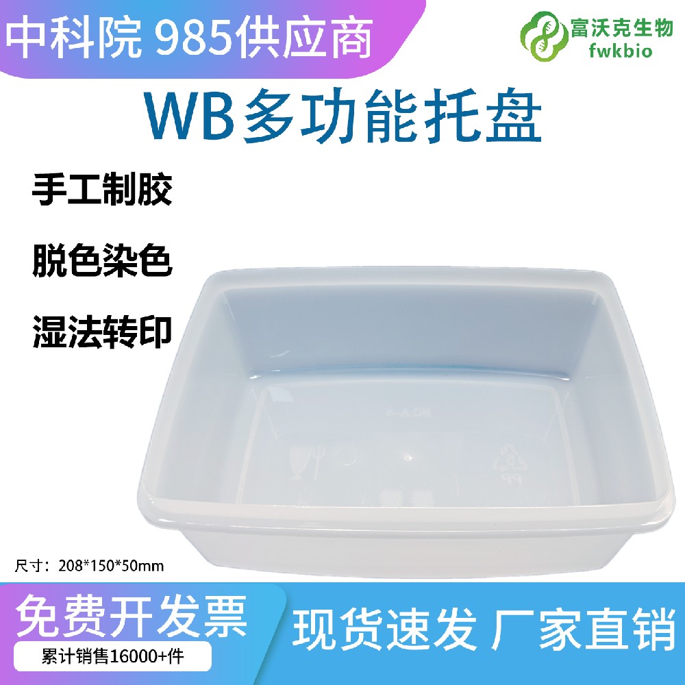 科研专用凝胶处理托盘方盒 湿法转印脱色染色凝胶暂存收纳盒