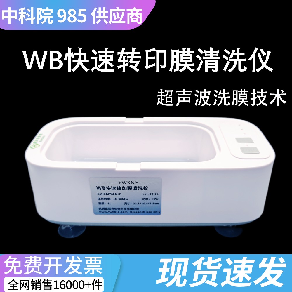 WB转膜专用洗膜仪 科研级超声波NC膜高效清洗设备