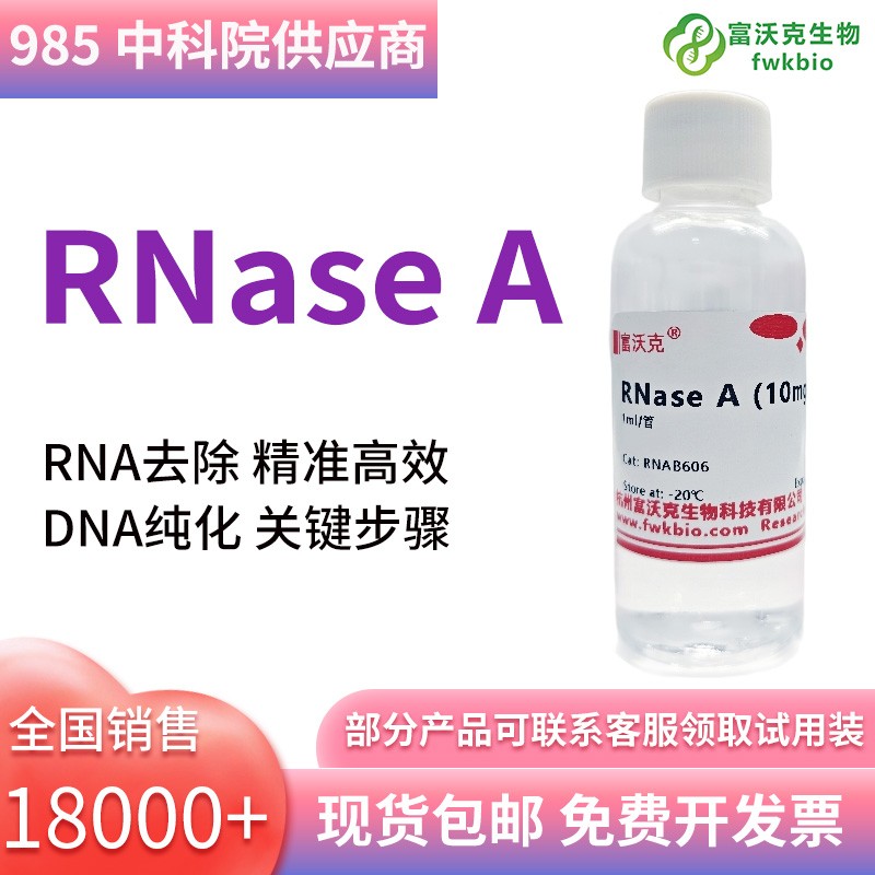 RNase A溶液